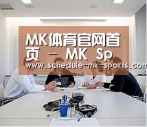 研发能力标题二