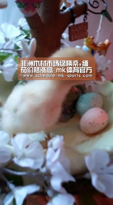 非洲木材市场绿柄桑,缅茄价格涨高_mk体育官方