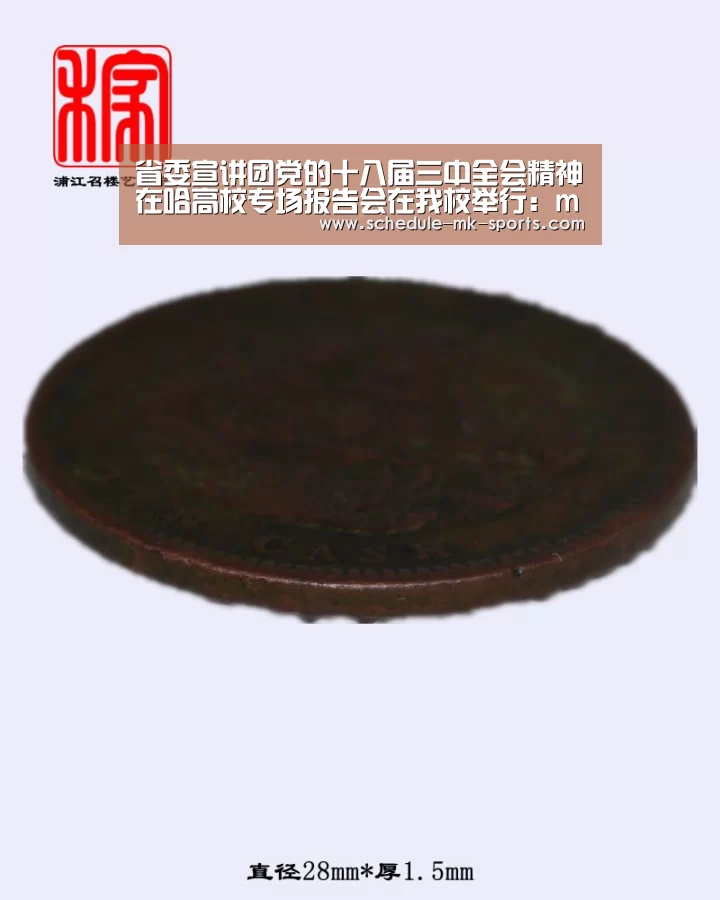 省委宣讲团党的十八届三中全会精神在哈高校专场报告会在我校举行:mk体育官方(图2) mk体育官方