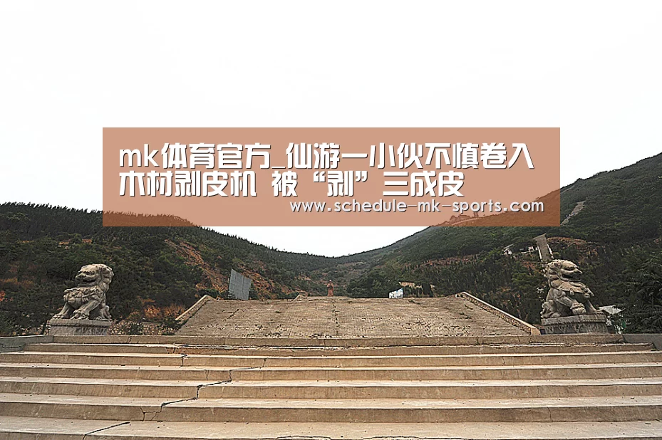 mk体育官方