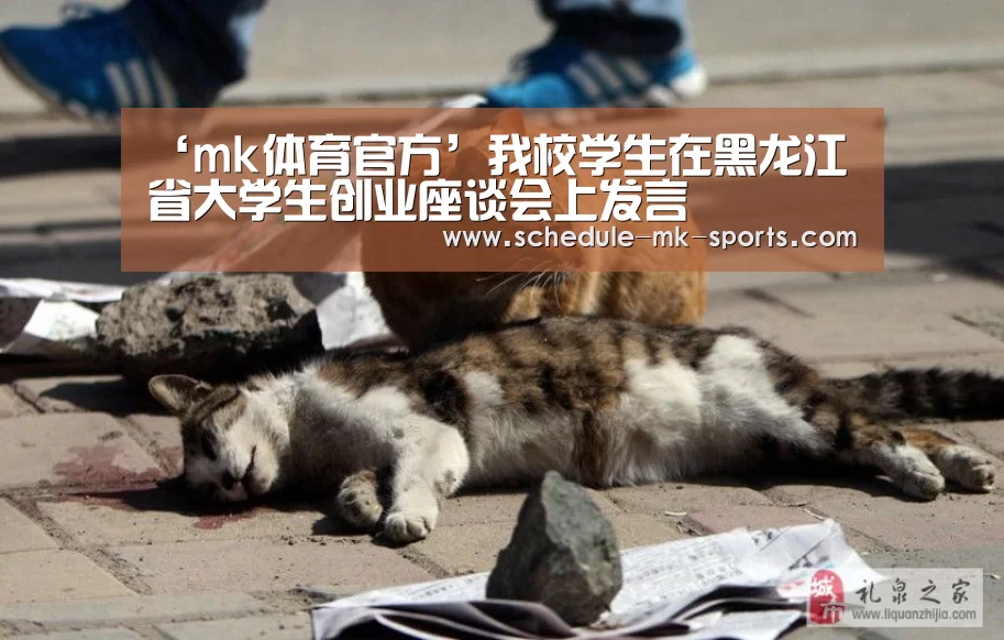 ‘mk体育官方’我校学生在黑龙江省大学生创业座谈会上发言(图2) mk体育官方
