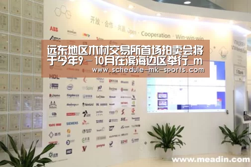 mk体育官方